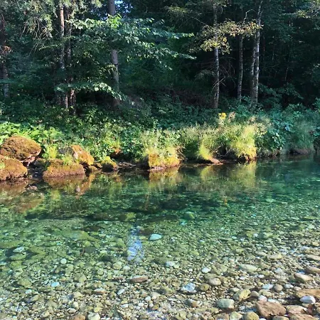 Apartma Slivnik アパート *